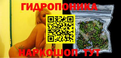 крисы Дубна