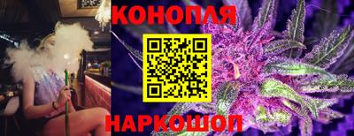 PSILOCYBIN Донской