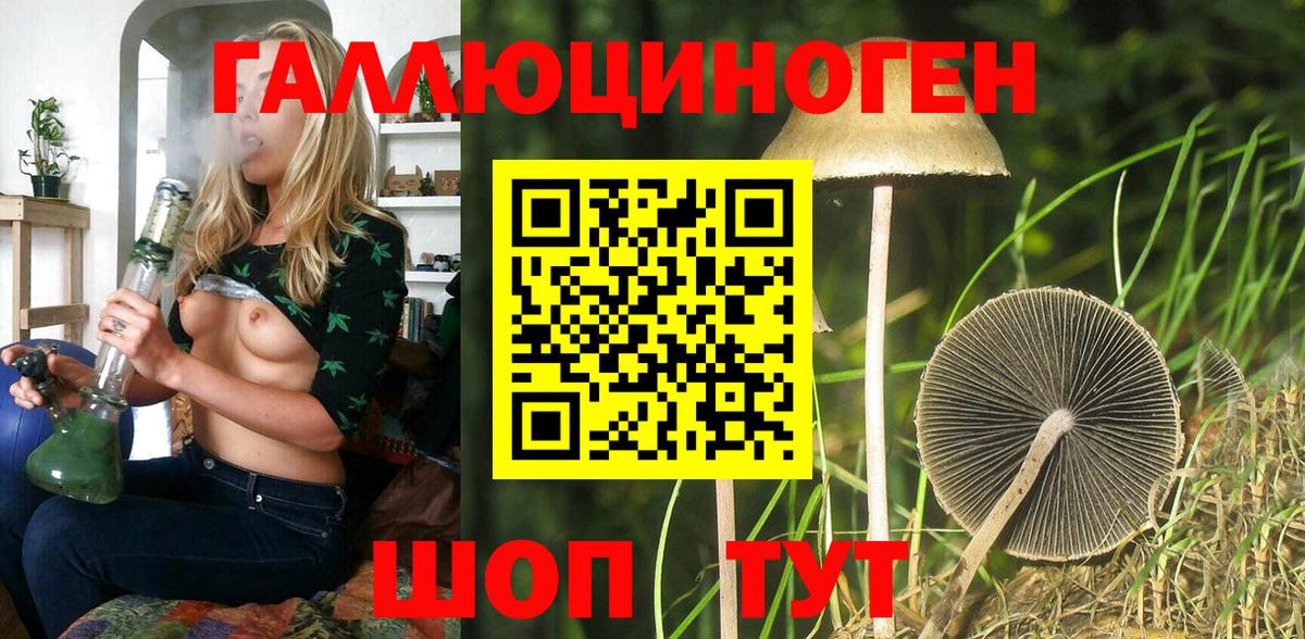 Галлюциногенные грибы Psilocybe  Вход с VPN  Лосино-Петровский 